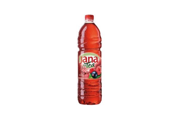 Jana Ice Tea Waldfrucht 6x 1,5 L Flasche
