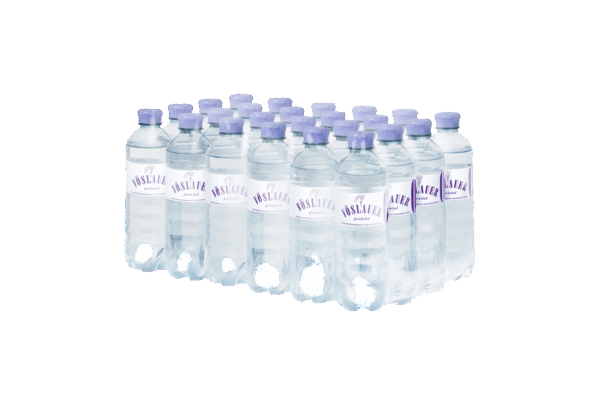 Vöslauer Prickelnd 24x 0,5 L Flasche