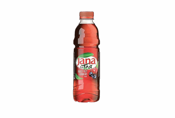 Jana Ice Tea Waldfrucht 6x 0,5 L Flasche